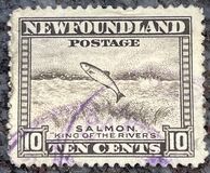 [Newfoundland Issue, type DU1]