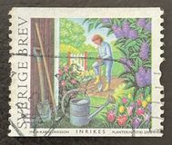 [Summer at the Allotment, Tip BVN]