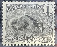 [Ant-Eater - Myrmecophage tridactyla, type H]