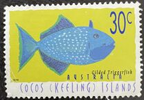 [Fish, type ML]