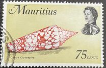 [Marine Life, タイプ FK]