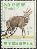 [Menelik´s Bushbuck, typ AZF18]
