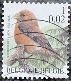 [Birds, タイプ CIH]