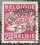 [National Industry - New values, tip NP1]