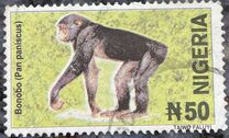 [Wildlife, type YV]