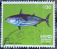 [Fish, type F]