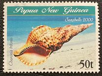 [Sea Shells, tip AED]