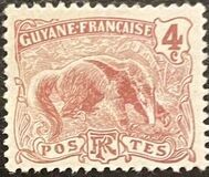 [Ant-Eater - Myrmecophage tridactyla, type H2]