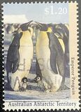 [Antarctic Wildlife, Tüüp CP]