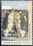 [Antarctic Wildlife, Tüüp CP]