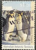 [Antarctic Wildlife, Tüüp CP]