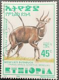 [Menelik´s Bushbuck, typ AZF8]