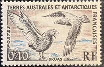 [Birds and Coat of Arms, tyyppi I]