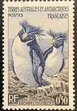 [Penguins and Seals, tip B]