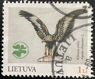 [Zoology Museum, type SI]