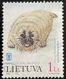 [Sea Museum - Marine Life, type NR]