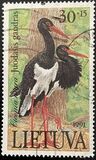 [Birds in the Red Book, type EF]