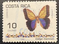 [Butterflies, type AOI]