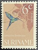 [Birds, type WH]