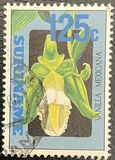 [Flora - Orchids, type BFY]