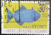[Fish, type ML]