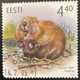 [Estonian Fauna - Beaver, タイプ MM]