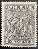 [Newfoundland Issue - New Colors and Values, type DO2]
