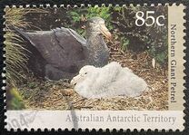 [Antarctic Wildlife, Tüüp CN]