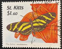 [Butterflies, type PW]