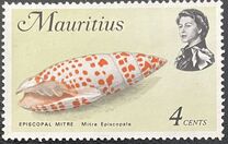[Marine Life, type EZ]