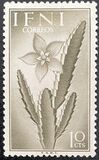 [Flora y fauna. , tipo AC]