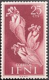 [Flora y fauna. , tipo AD]