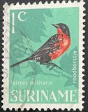 [Birds, タイプ WC]