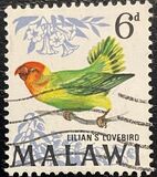 [Birds, type BO]