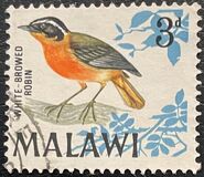 [Birds, type BM]