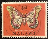 [Moths, տեսակ CR]