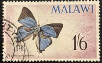 [Malawi Butterflies, type Y]