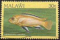 [Fish, tip MN]