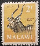 [Decimal Currency - Antelopes, type CY]