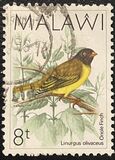 [Birds, Tipo PX]