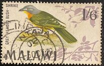 [Birds, type BR]