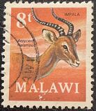 [Decimal Currency - Antelopes, type DB]