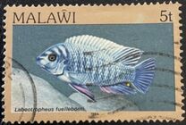 [Fish, tip MH]