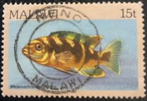 [Fish, tip ML]