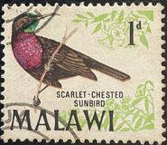 [Birds, type BK]