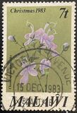 [Christmas - Flowers, Tüüp MB]