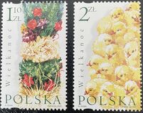 [Flora, tipas FKR]