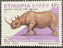 [Rinoceronte. Diceros bicornis., tipo BDR1]