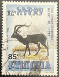 [Wildlife, tyyppi ARB]