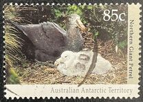 [Antarctic Wildlife, type CN]